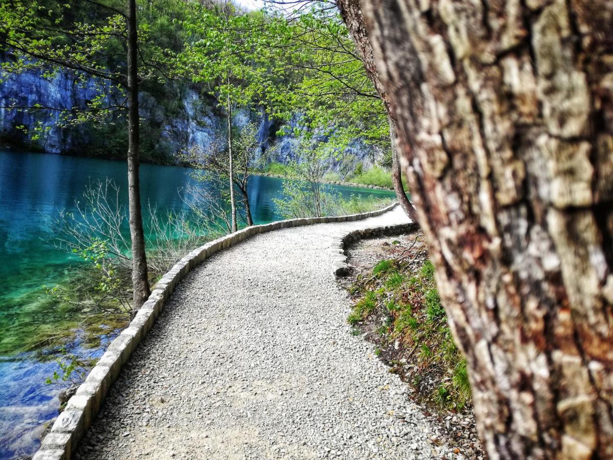 Plitvička JezeraAttico Viva住宿加早餐旅馆 外观 照片