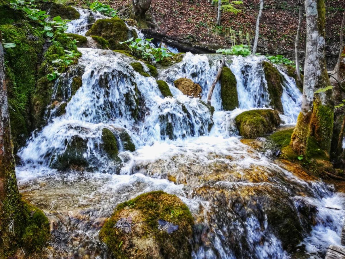 Plitvička JezeraAttico Viva住宿加早餐旅馆 外观 照片